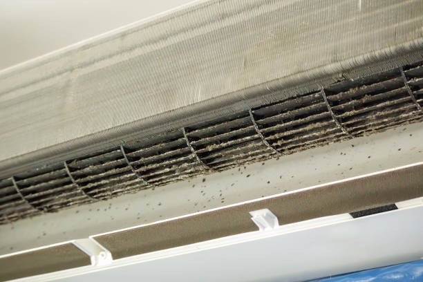 Best Home Air Vent Cleaning  in Rogersville, TN